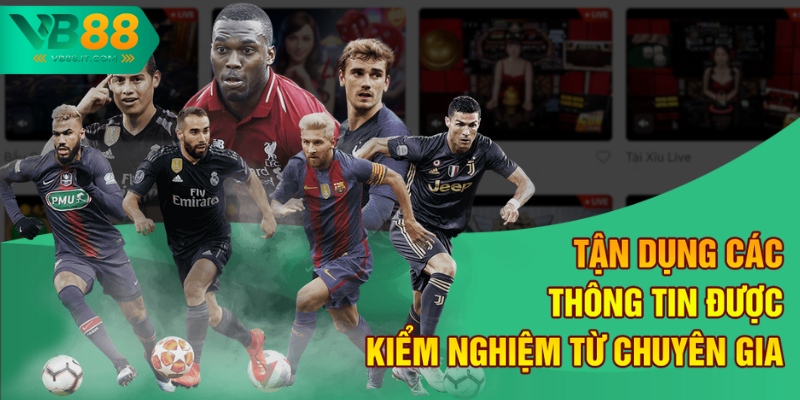 Tận dụng các thông tin được kiểm nghiệm từ chuyên gia
